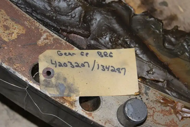 Swing Gear & Bearing GP image 4