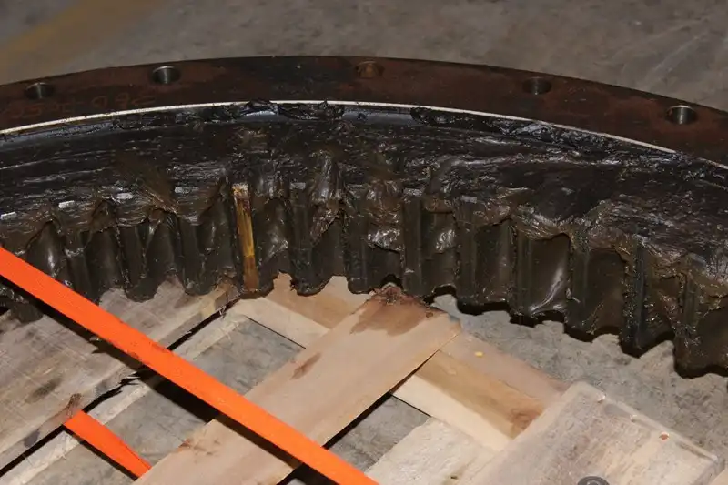 Swing Gear & Bearing GP image 5