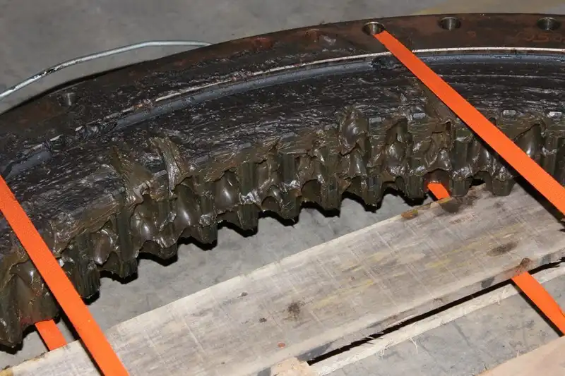 Swing Gear & Bearing GP image 6