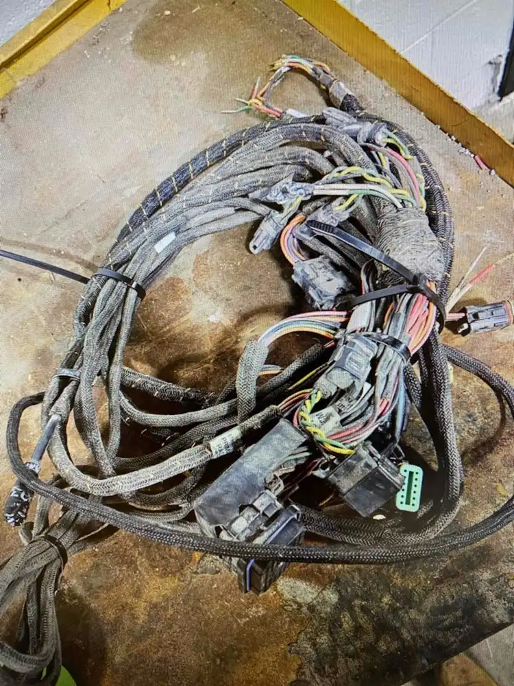 Harness As-e image 5