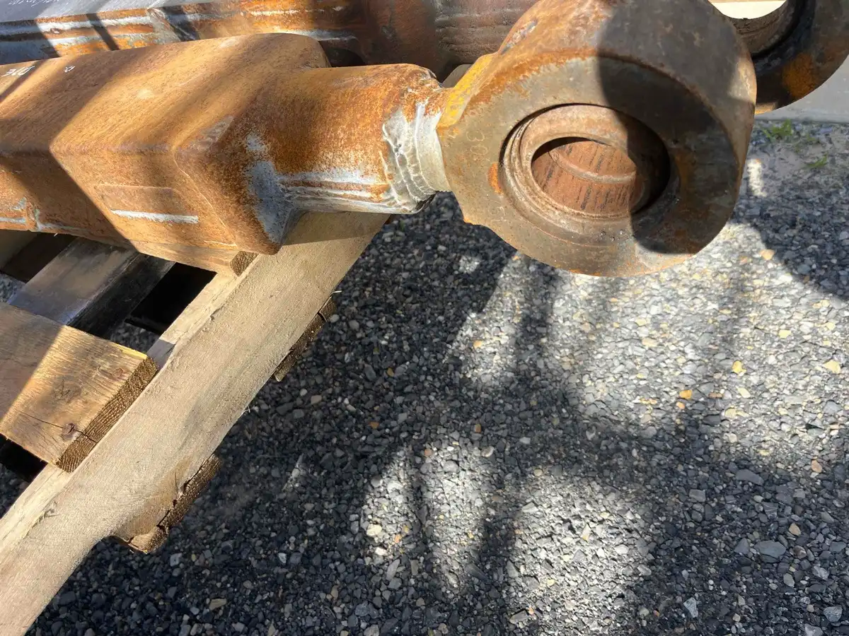 Arm AS. (lh) image 2