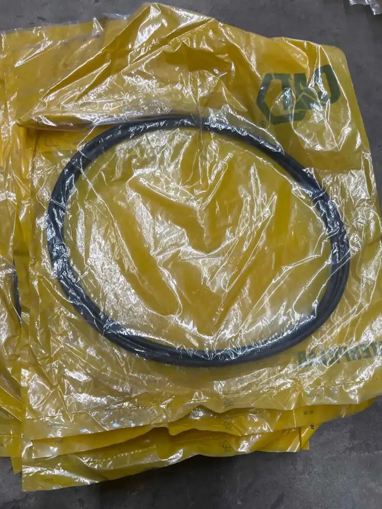 Seal image 2