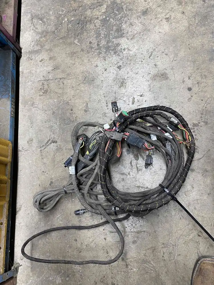 Harness As-e image 2