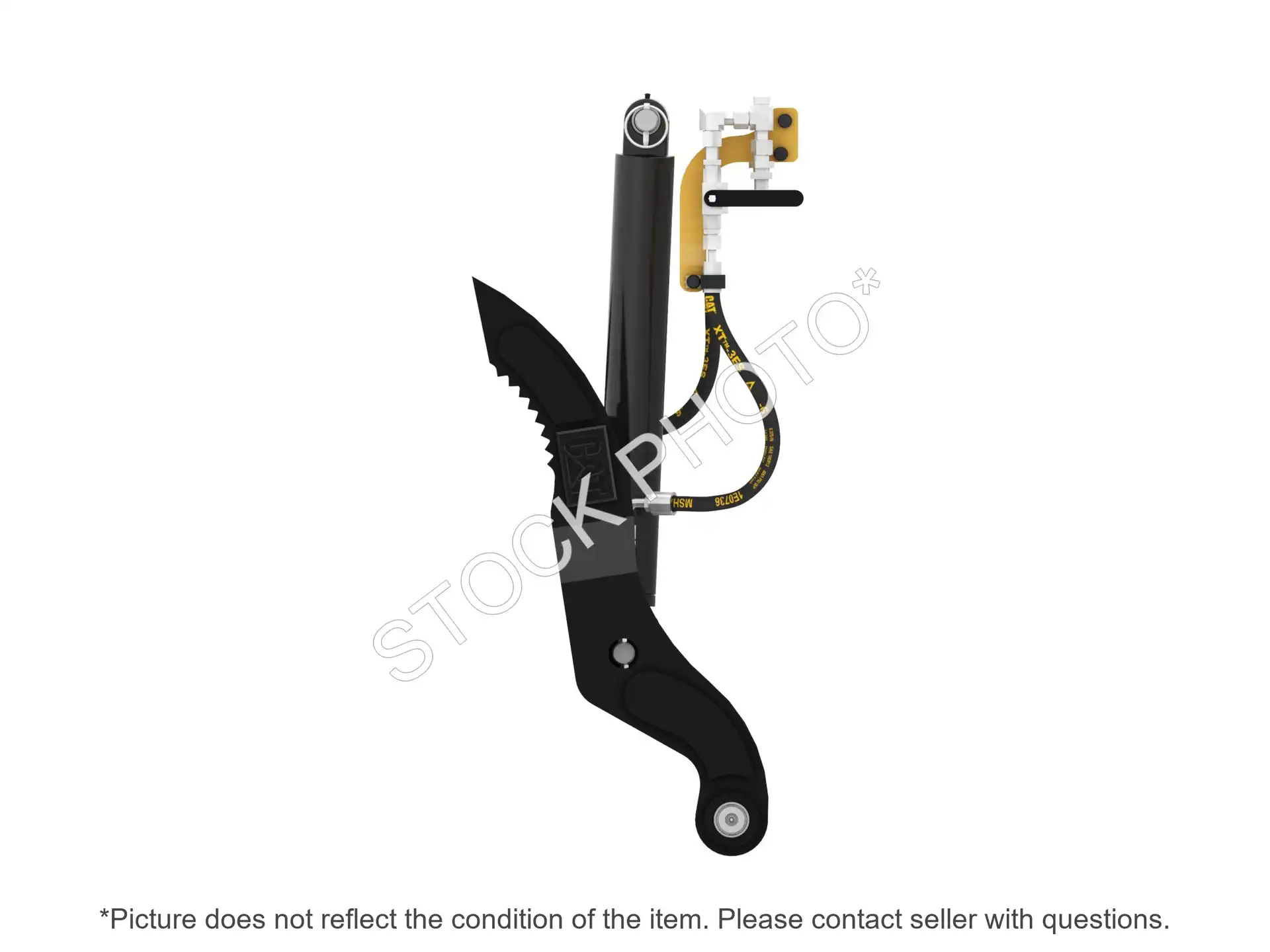 THUMB image 4