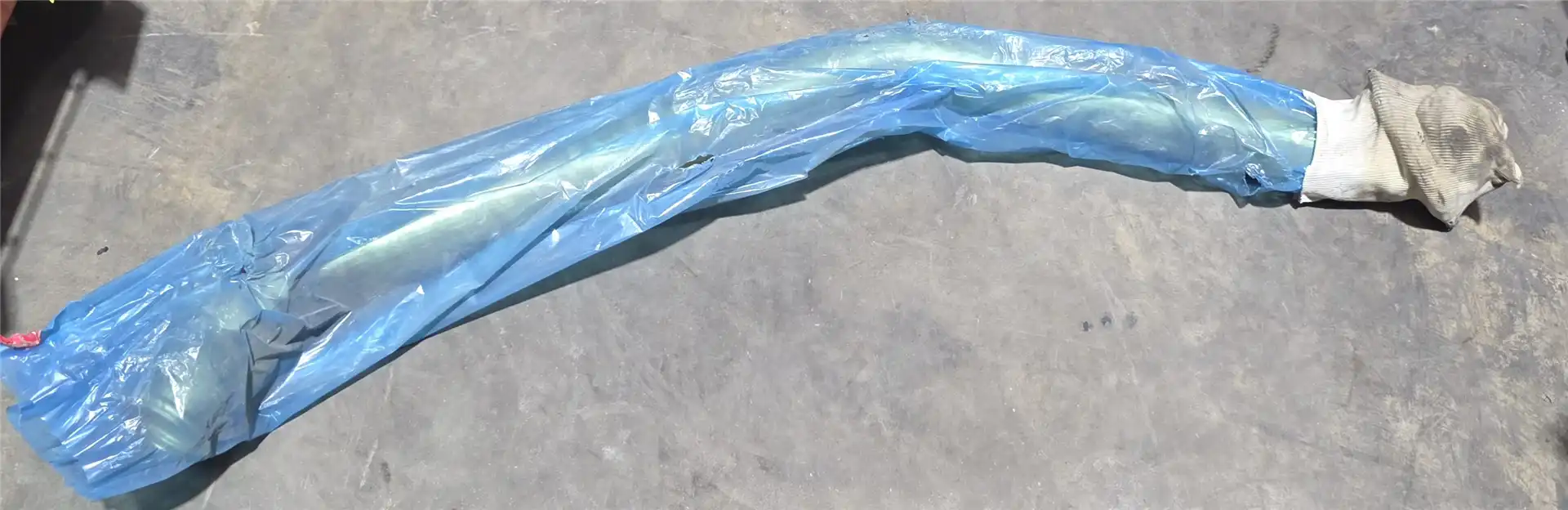 NEW TUBE image 2