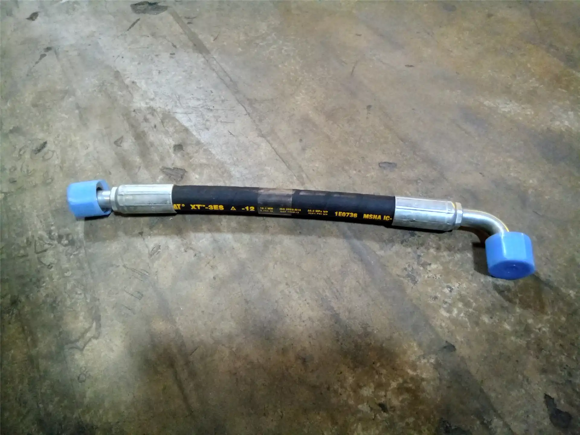 NEW HOSE image 2