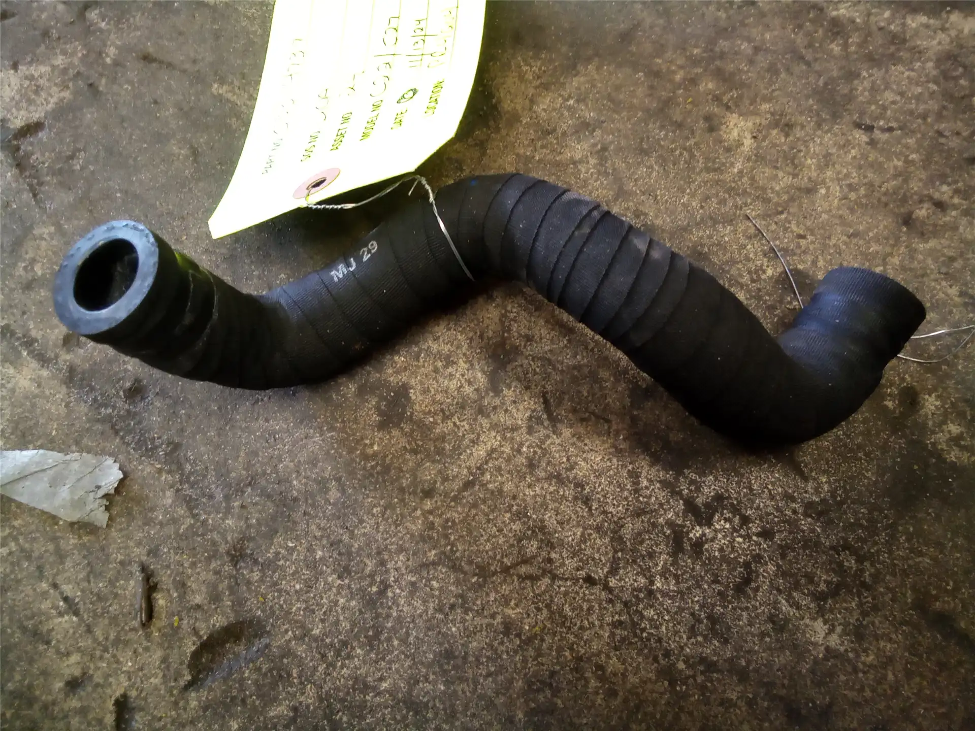 NEW HOSE image 2