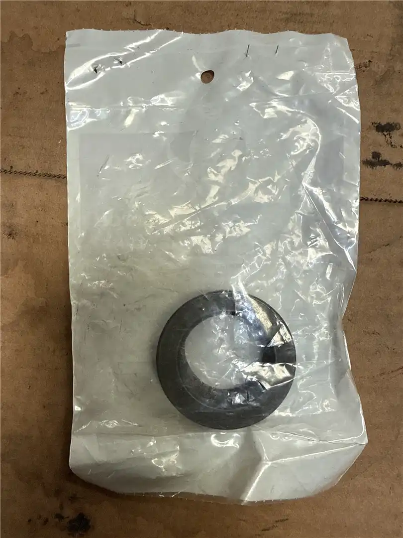 NEW NUT image 2
