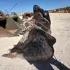 CAT 18" BUCKET FOR 310 EXCAVATOR JBM image 7