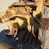 USED D6T WINCH PACCAR PA56             MQ image 3