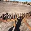 USED D8T BLADE RAKE. MADE BY HOLT CEP            MQ image 6