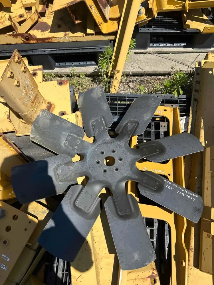 Spider Asfan image