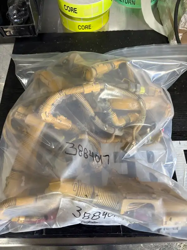 Harness image