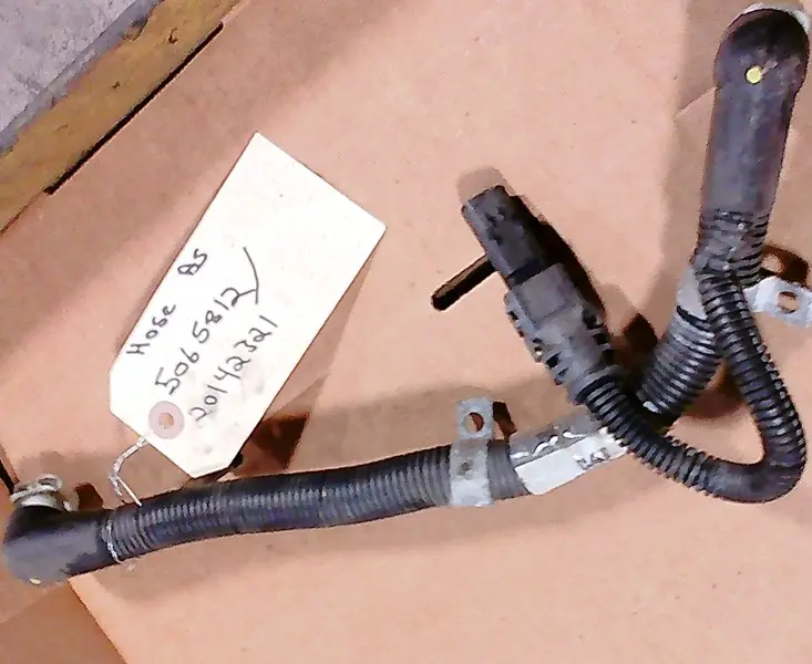 Hose AS image 1