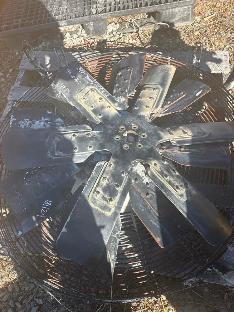 Spider As-fa image 1
