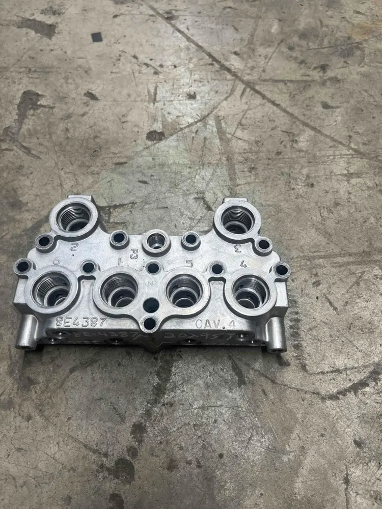 Manifold image 1