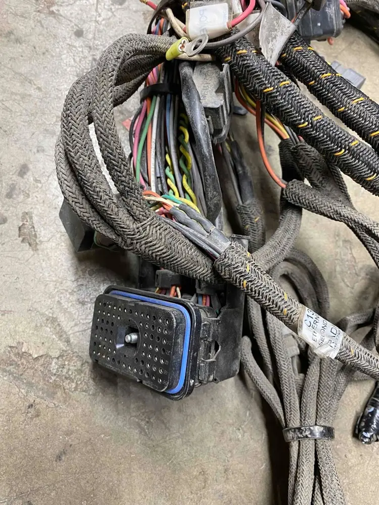 Harness As-e image 1