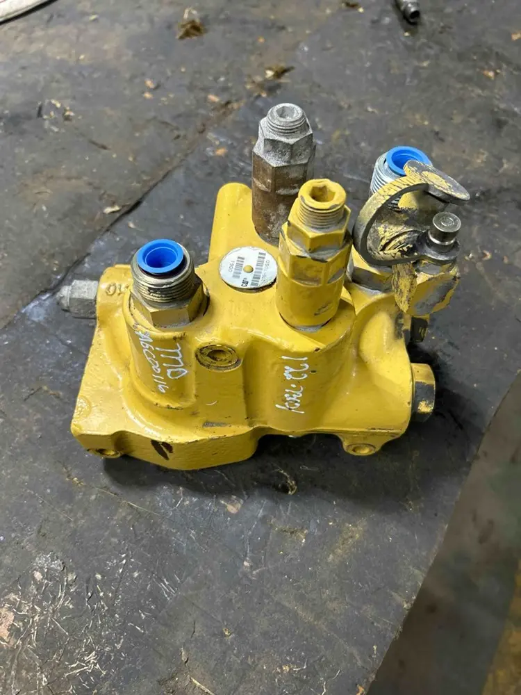 Manifold image 1