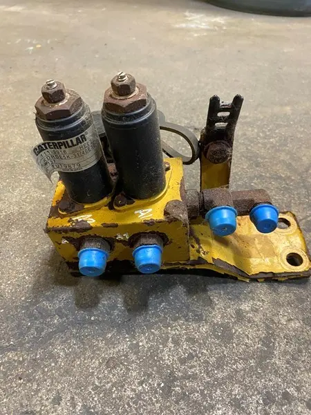 Manifold image 1