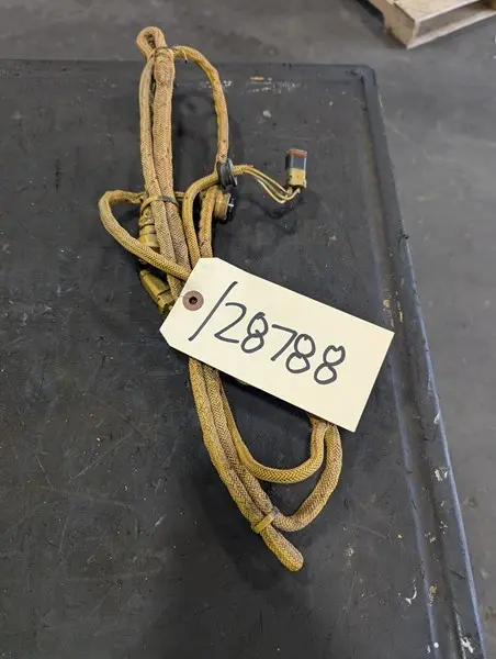 Harness As-s image 1