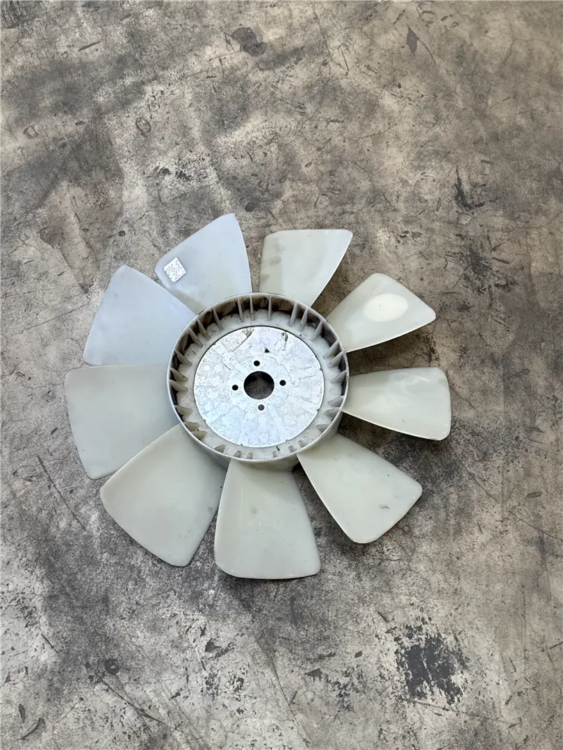 NEW FAN AS image 1