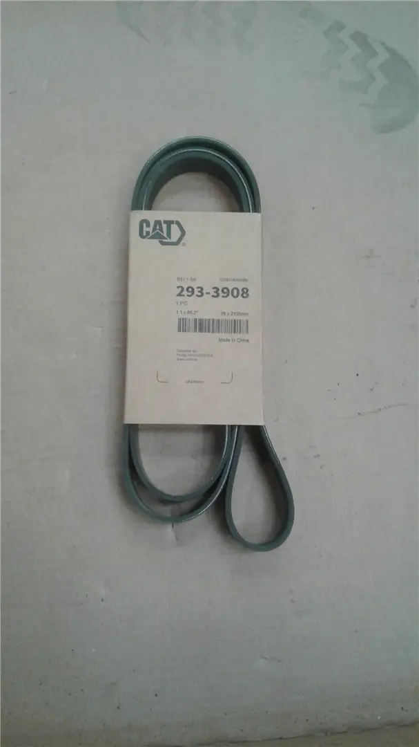 NEW BELT image 1