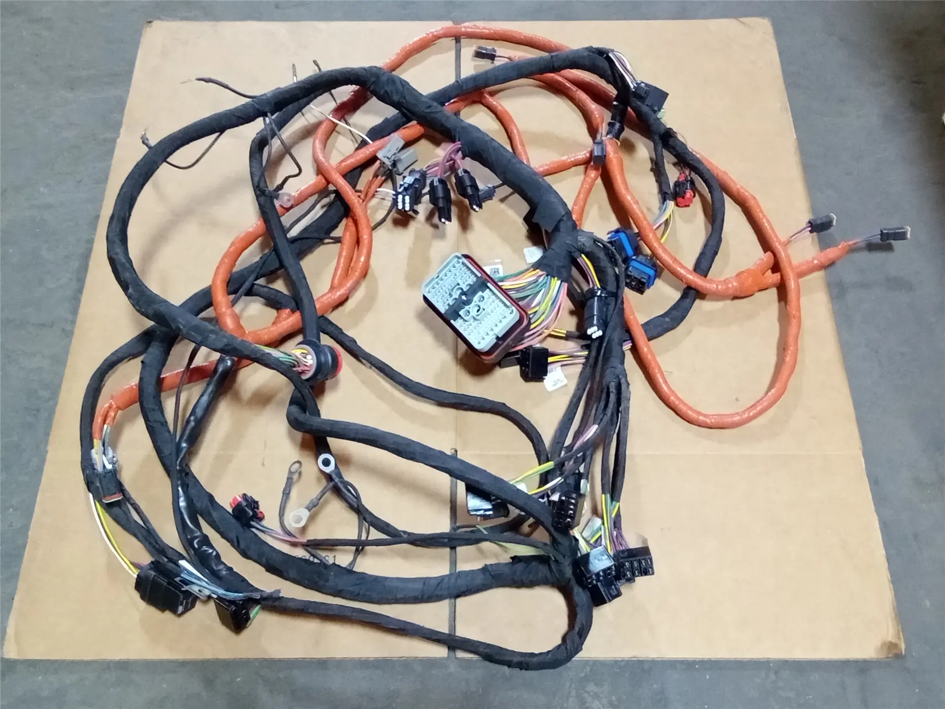NEW HARNESS image 1