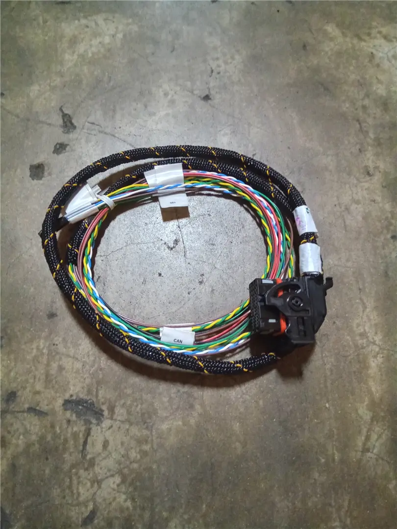 NEW HARNESS image 1