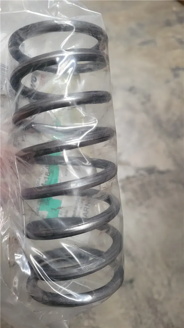 NEW SPRING image 1
