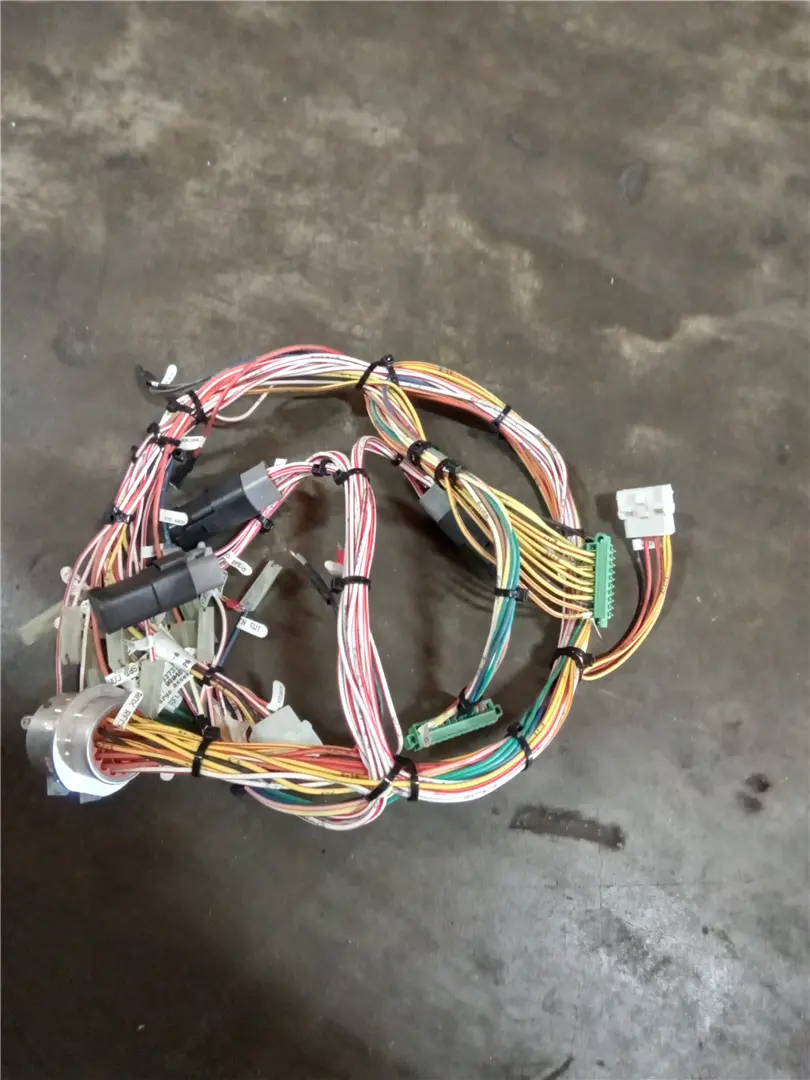 NEW HARNESS image 1