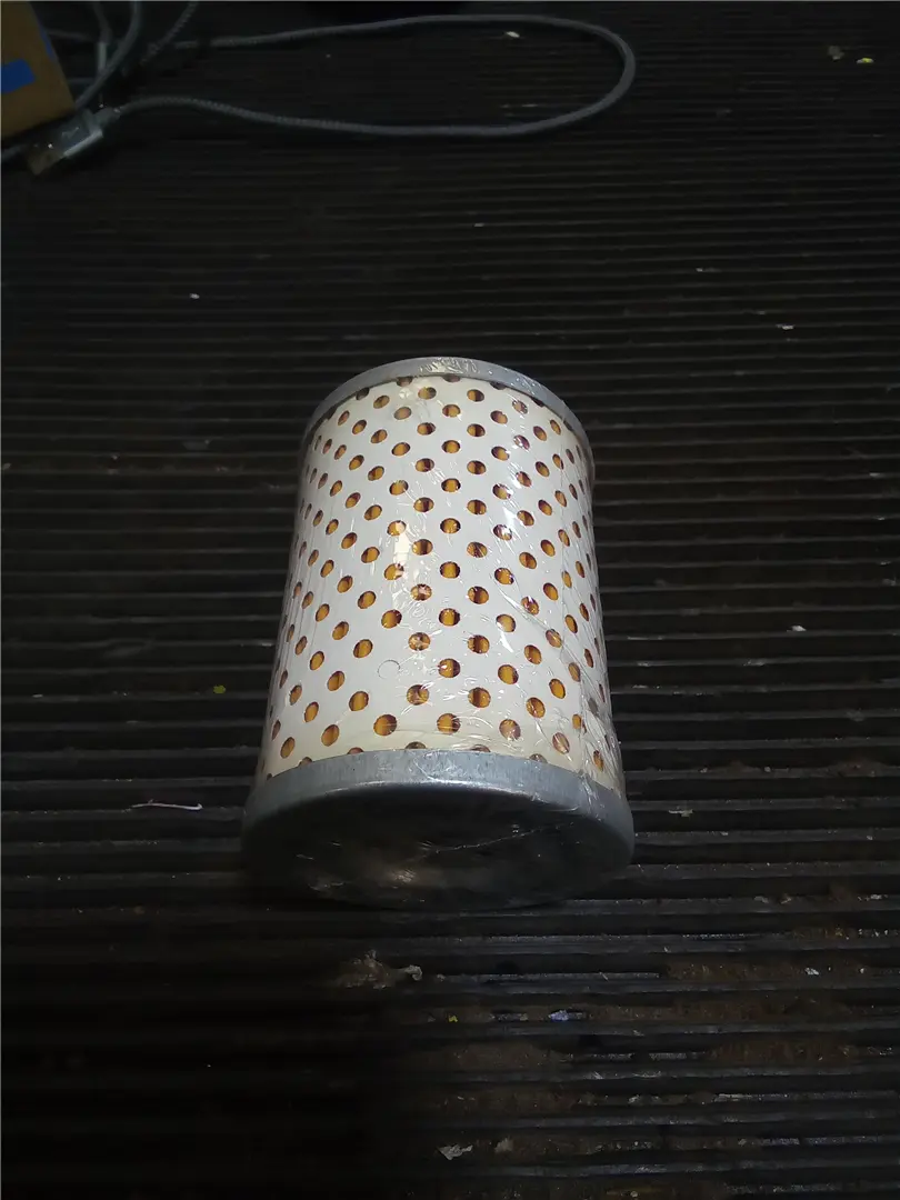 NEW FUEL FILTER image 1