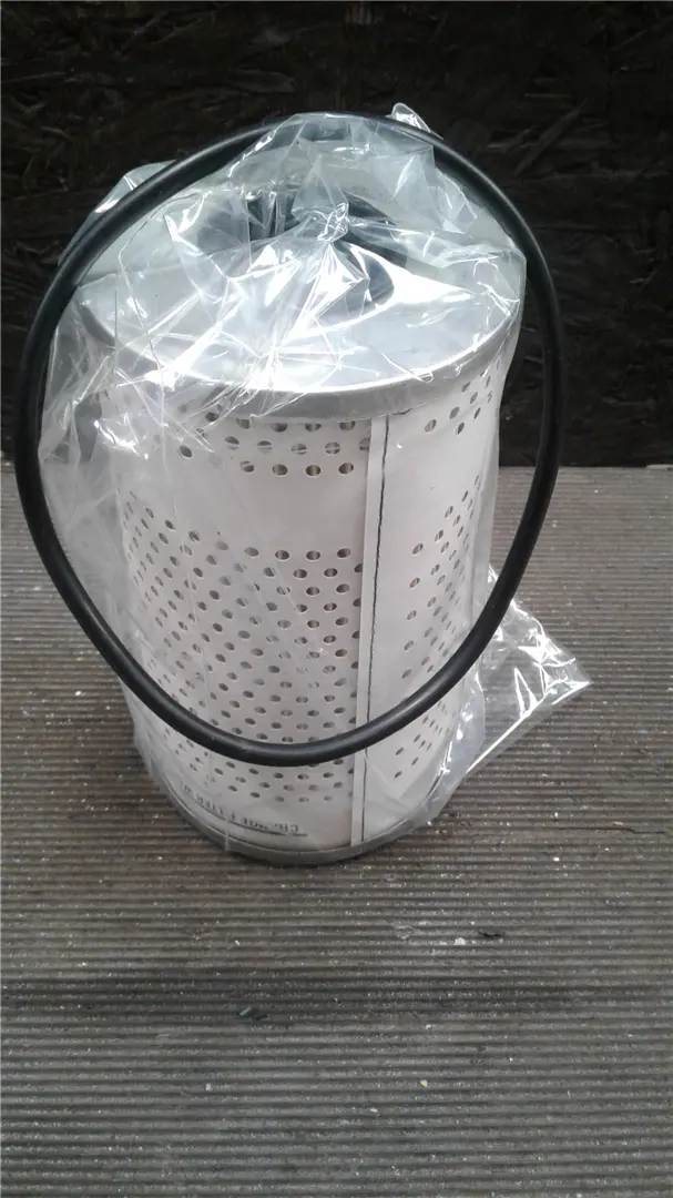 NEW FUEL FILTER image 1