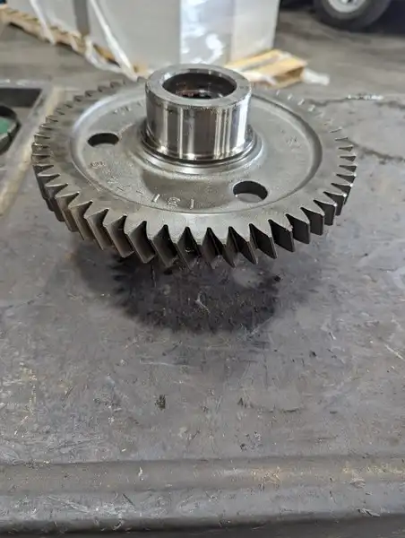 Gear-pump DR image 2