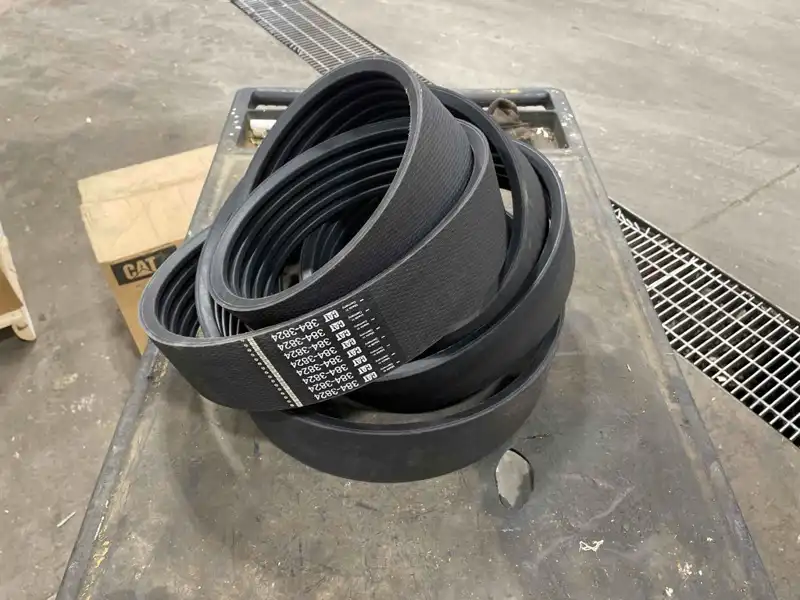 Belt image 2
