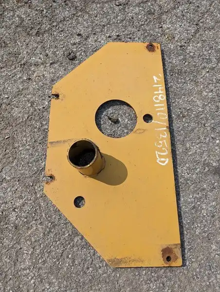 Plate AS image 2