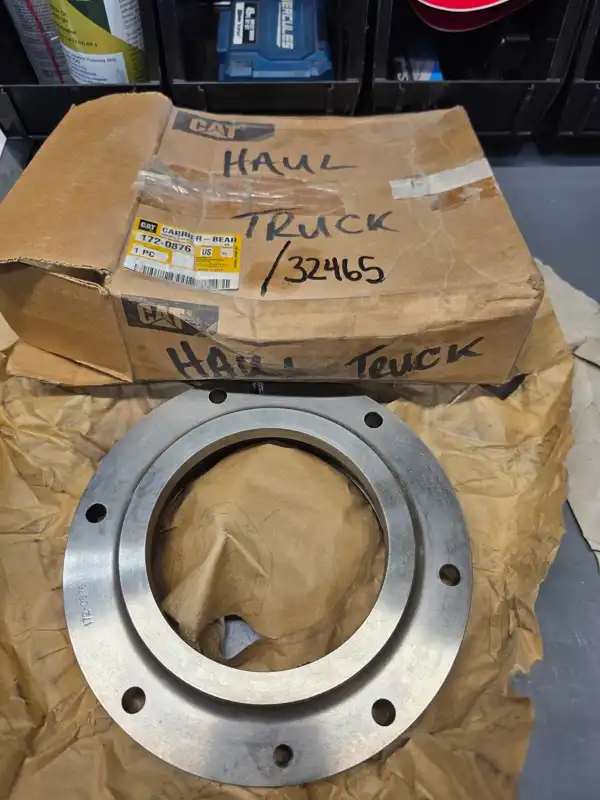 Carrier-bear indicator image 1