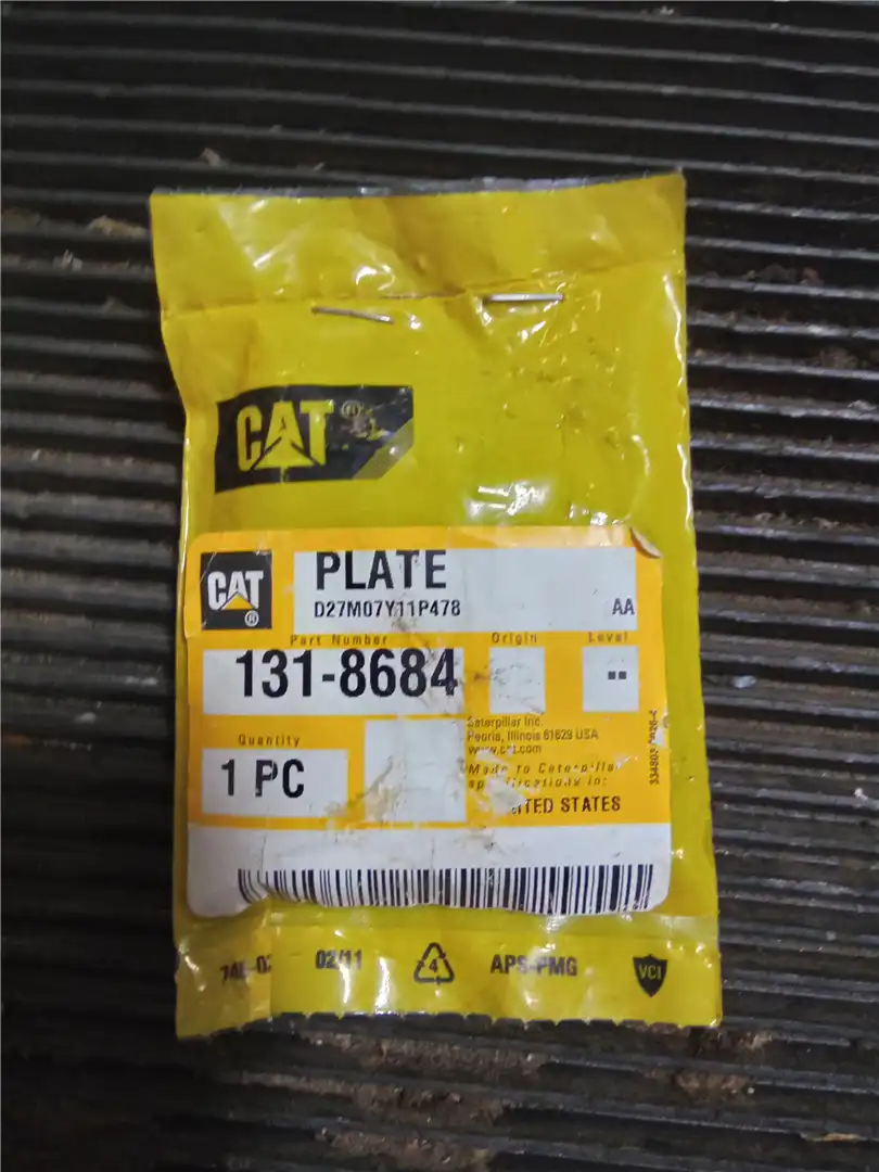 NEW PLATE image 2
