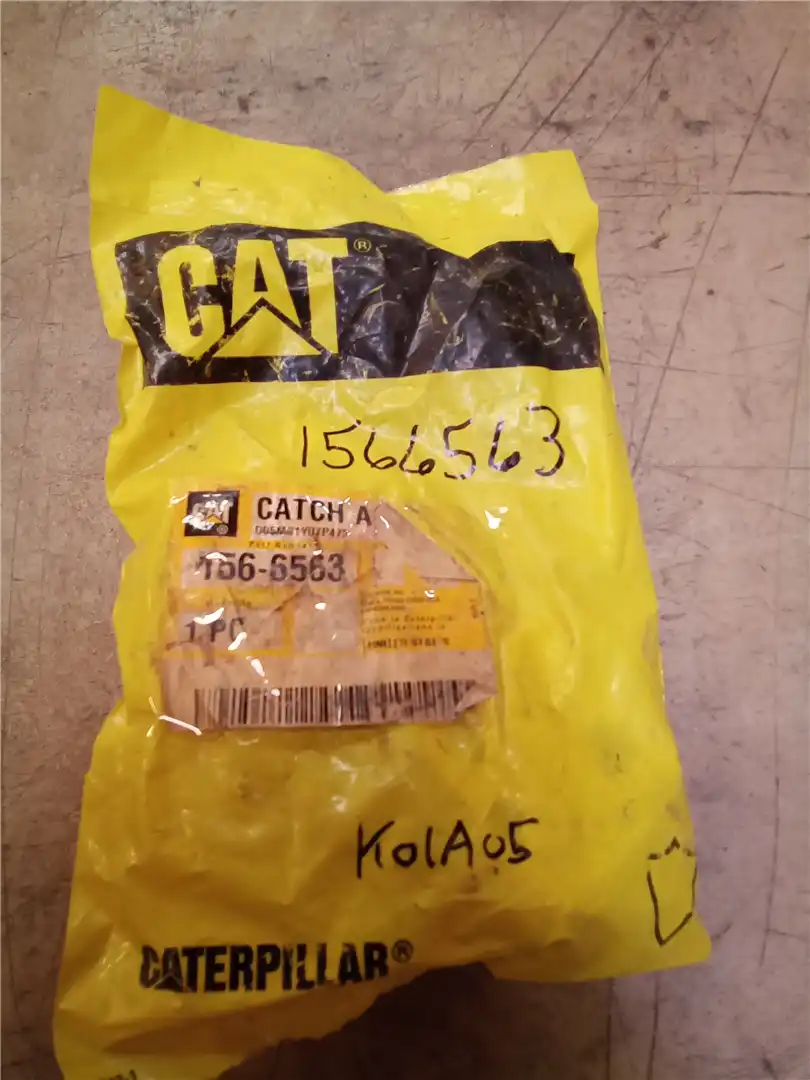 NEW CATCH image 2