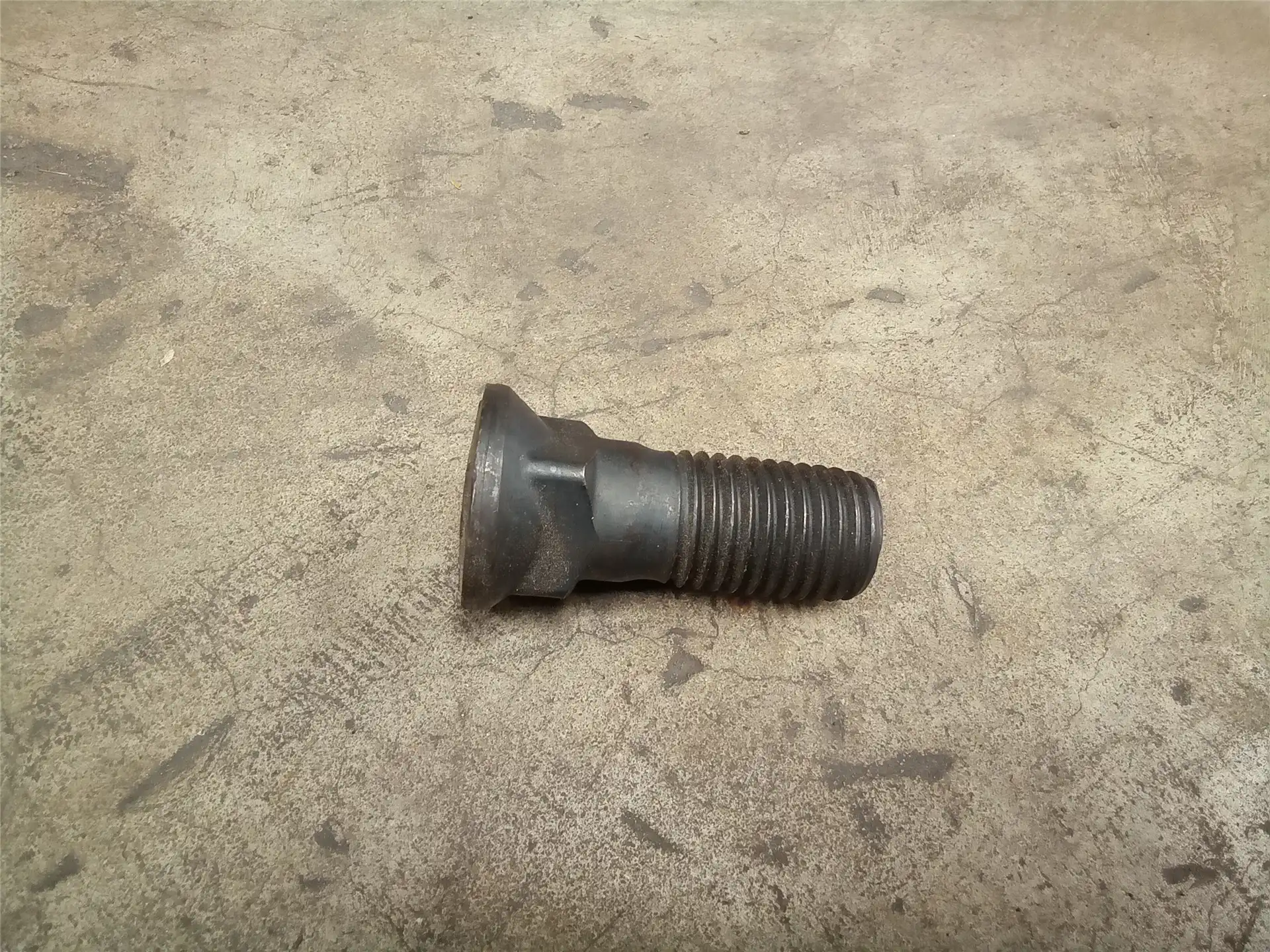 NEW BOLT image 2