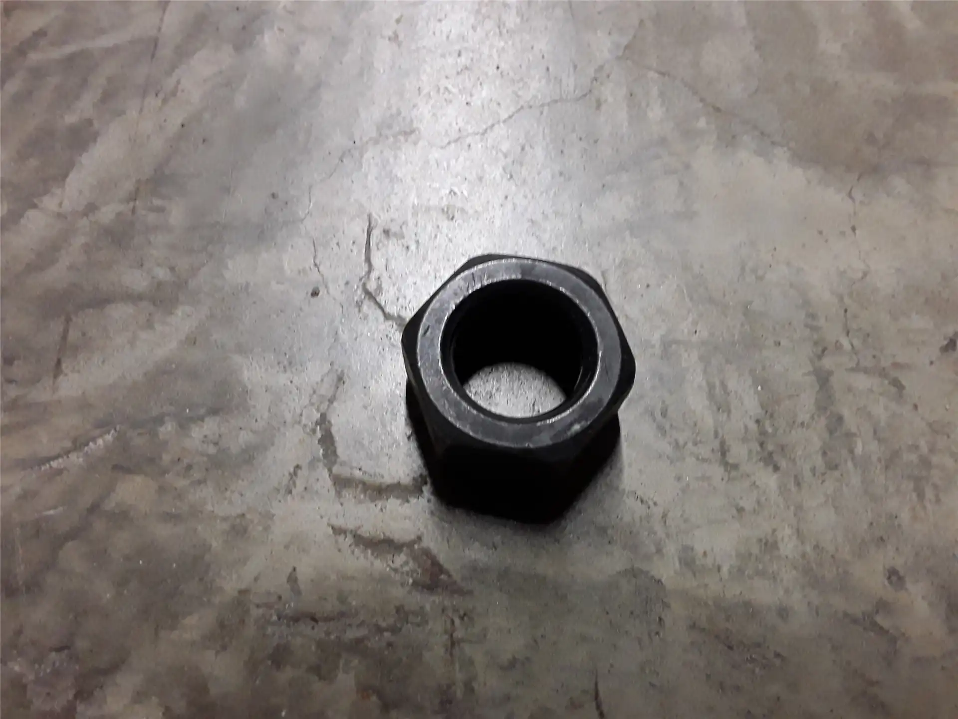 NEW NUT image 2