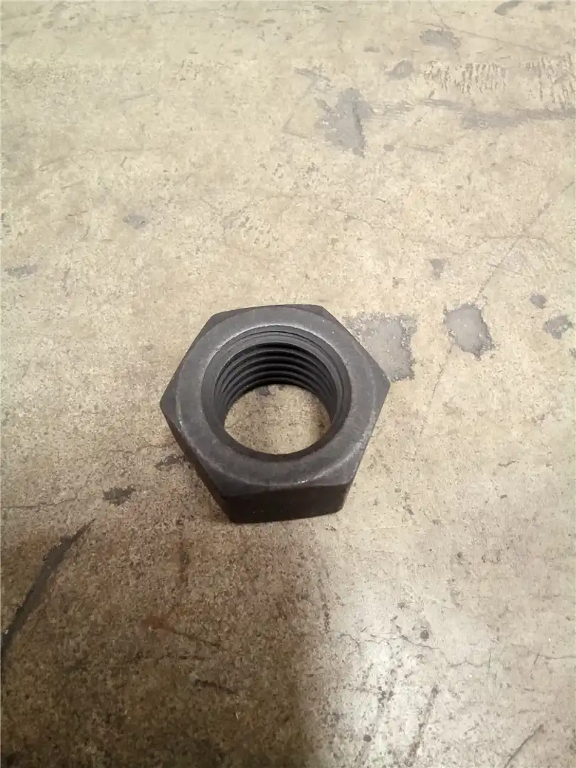 NEW NUT image 4