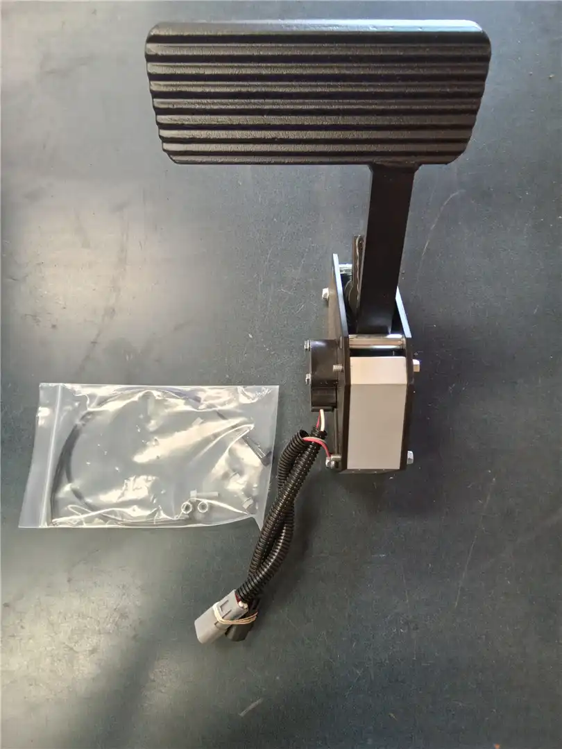 NEW PEDAL GP image 2