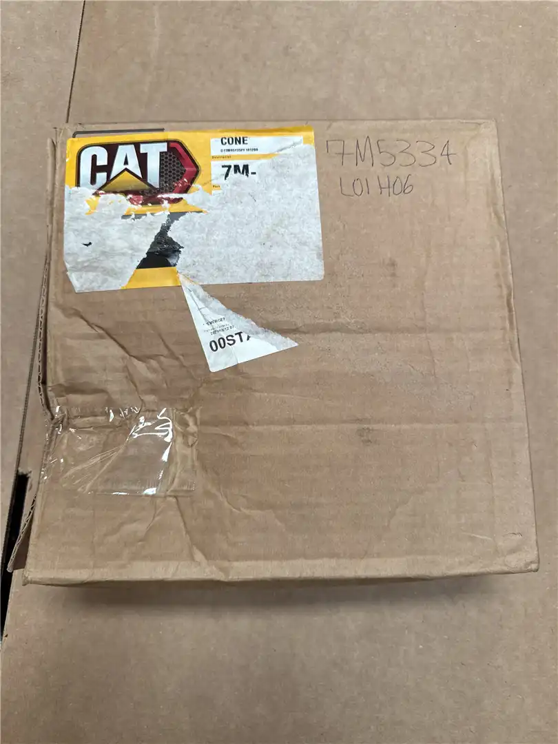 NEW CONE image 3