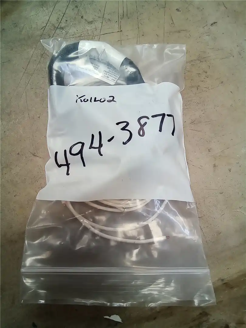 NEW PLUG image 2