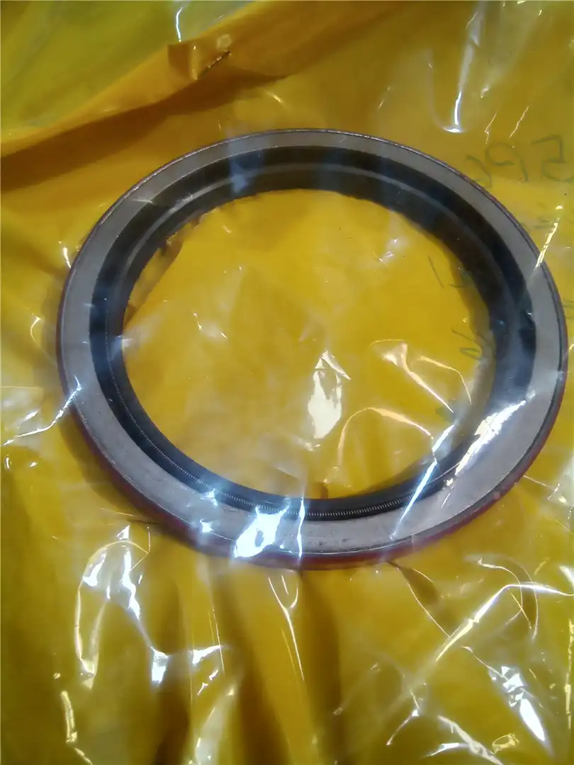 SEAL image 2