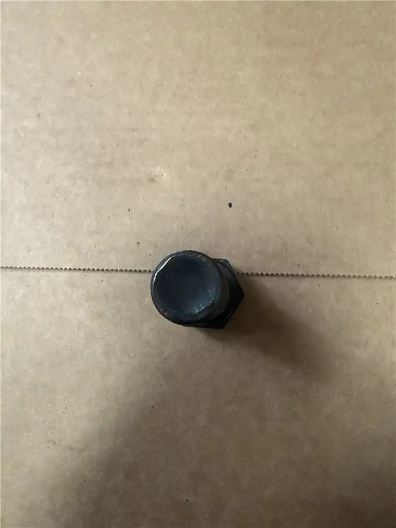 NEW BOLT image 3