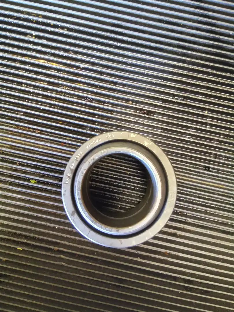 NEW BEARING image 2
