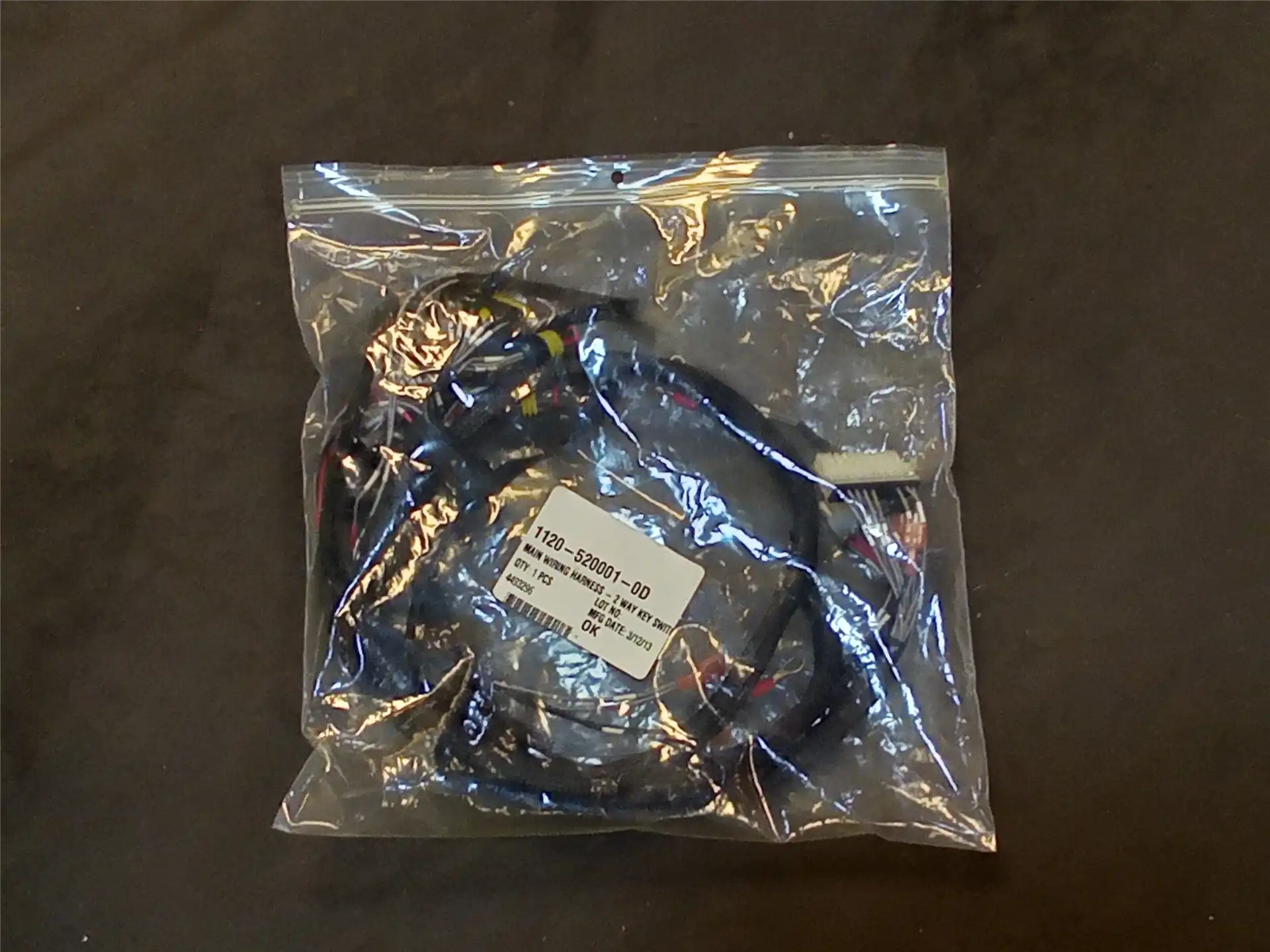 NEW HARNESS image 2