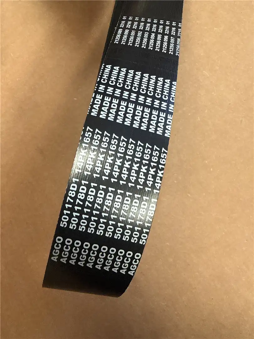 NEW BELT image 2