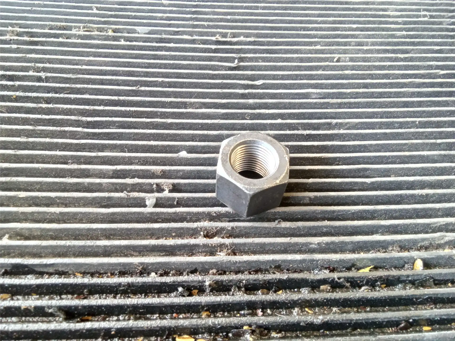 NEW SEGMENT NUT indicator image 1